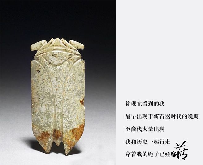 時代物 和田青白玉(ホータン) 細工彫り蝉 玉蝉佩 根付 緒締玉 提げ物