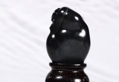 真“黑羊脂”！最稀有的墨玉原来是这种……