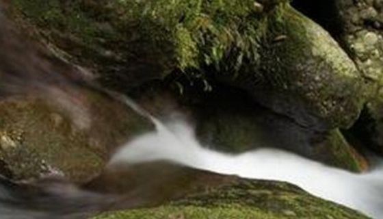 山流水和山料差距有多大?