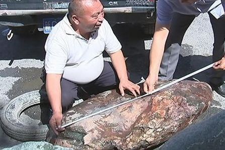 新疆玛纳斯县发现460公斤罕见红皮碧玉籽料是真是假？