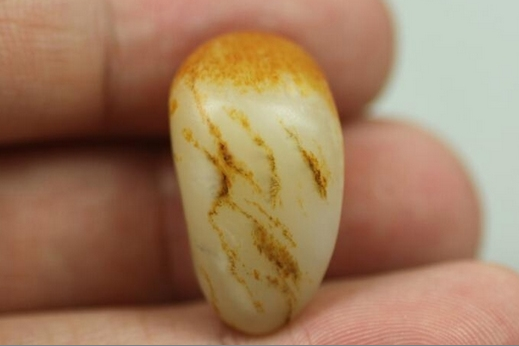 小知识：裂，皮色，水草沁的关系