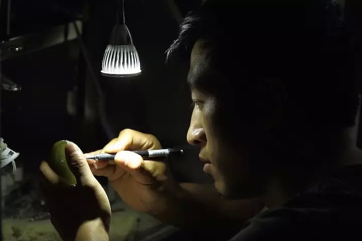 和田玉加工第一线：玉雕师的秘密