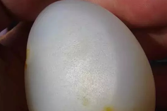 小知识：籽料毛孔造假的各种手段