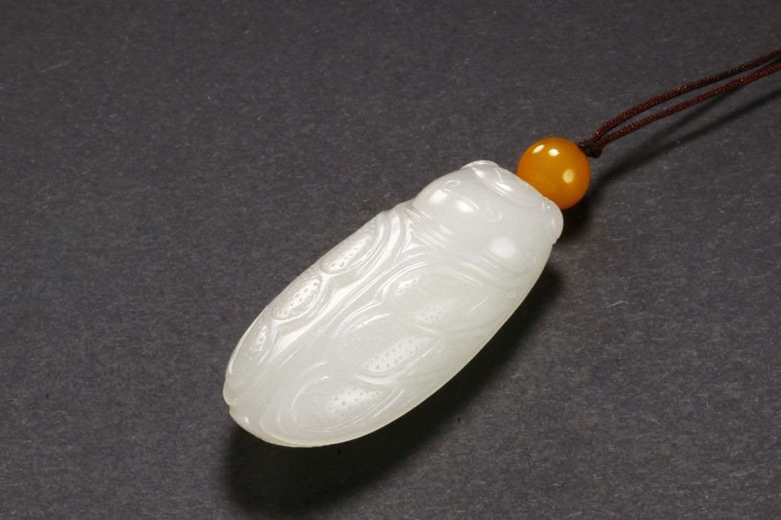 我有一个蝉鸣不止的夏天