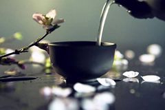 茶，等的是一位懂她的人