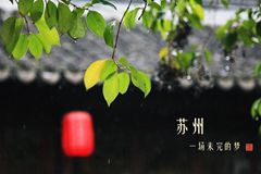 收藏苏州：一场未完的梦……