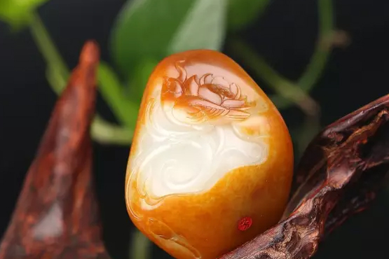 小知识：你手里有没有这样的红皮白肉？