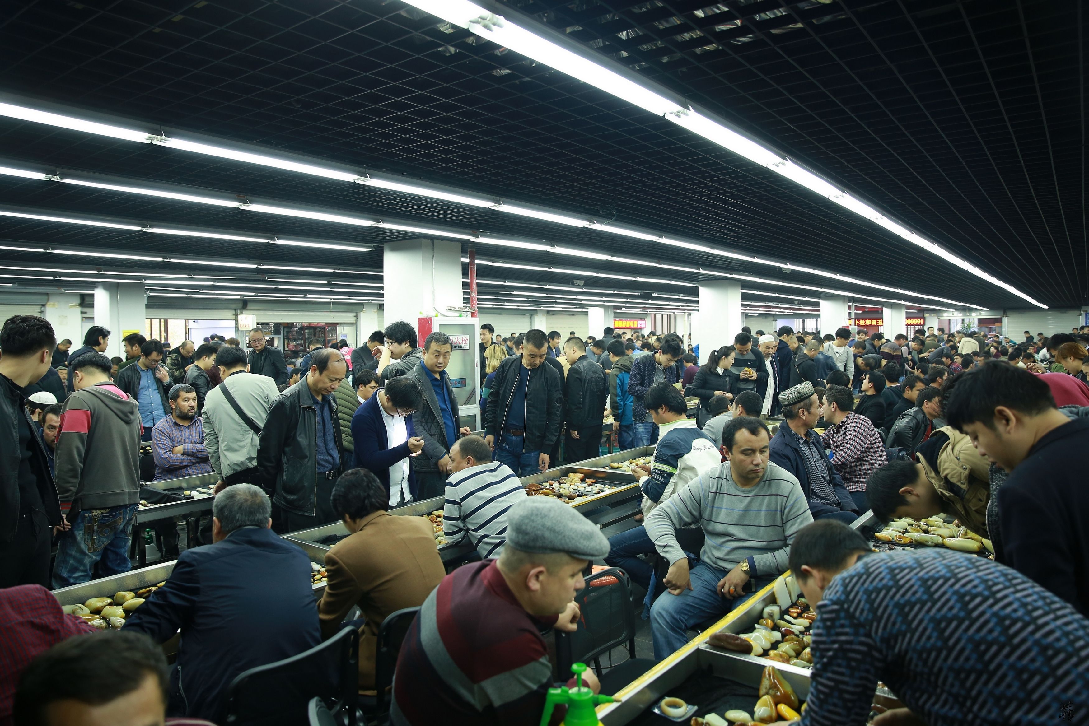 开年之后籽料价格为何疯涨？
