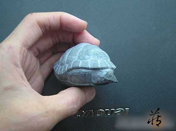 石雕乌龟教程
