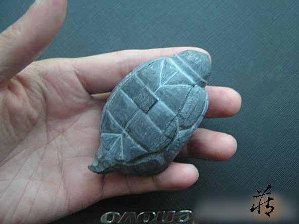 石雕乌龟教程