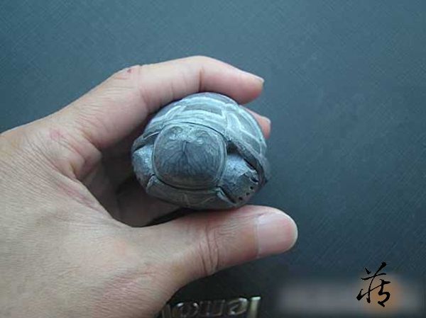石雕乌龟教程