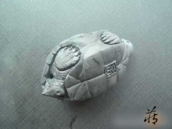 石雕乌龟教程