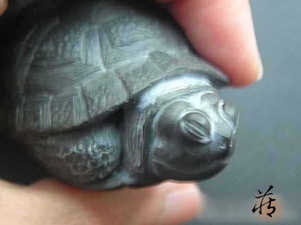 石雕乌龟教程