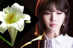 告诉你一个真实白百合的故事