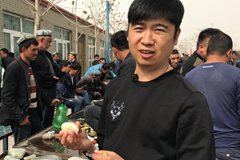 籽料源头市场价格探访