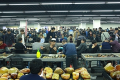 玉河整治？籽料真的要枯竭了吗？