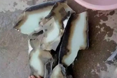 让人心惊肉跳的俄料切料过程