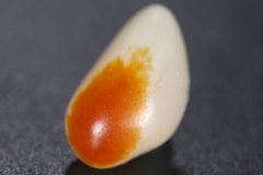 藏玉漫谈|籽料的身世之谜！