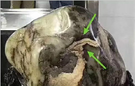 用这个和田玉籽料换奔驰宝马，你换不换？