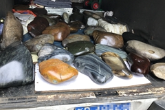 刚刚从新疆运来的一车“籽料” 你看价值多少？