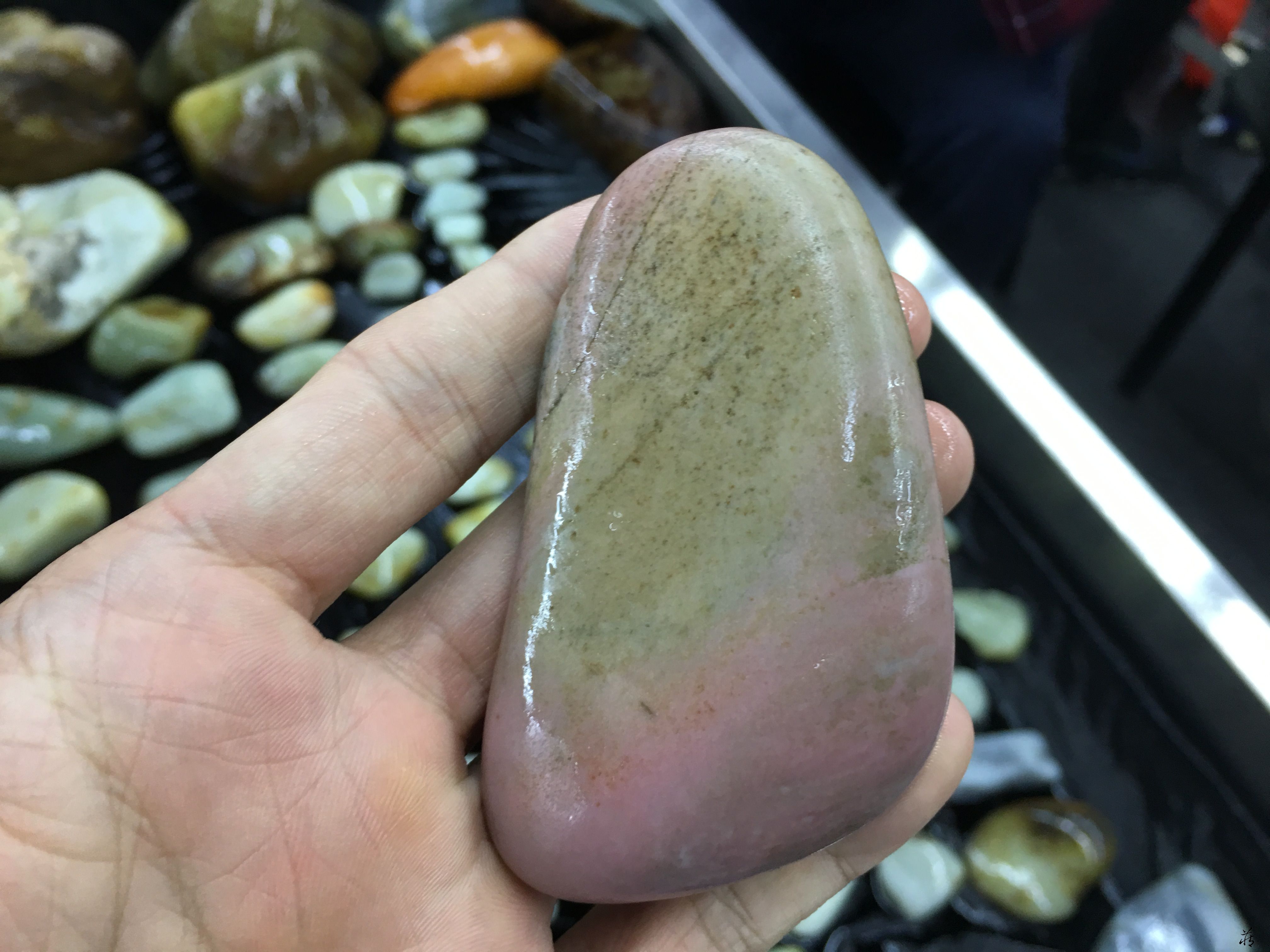 爆红的和田玉小玉种桃花玉籽料