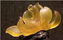 价格疯涨的金丝玉，到底凭啥疯涨的！