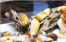 一块和田玉籽料的成本到底有多高，看完你就知道了！