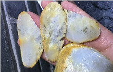 一个白皮和田玉，本打算切出故事，却切出了事故…