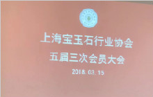 上海宝玉石行业协会第五届第三次会员大会开幕
