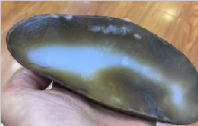 没人看好的和田玉籽料里竟然切出一只“鲸鱼”！