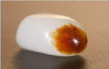 介绍几款和田玉中的“羊脂玉”给你！