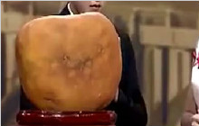65斤和田玉，黄金皮籽料到底是真是假？专家看后只说了一个