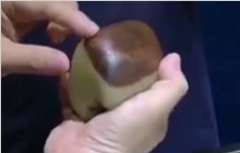2.8亿，和田玉籽料的新纪录诞生？