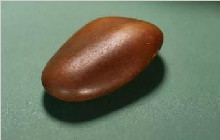 和田玉成品回归理性，籽料原石却还在疯涨！