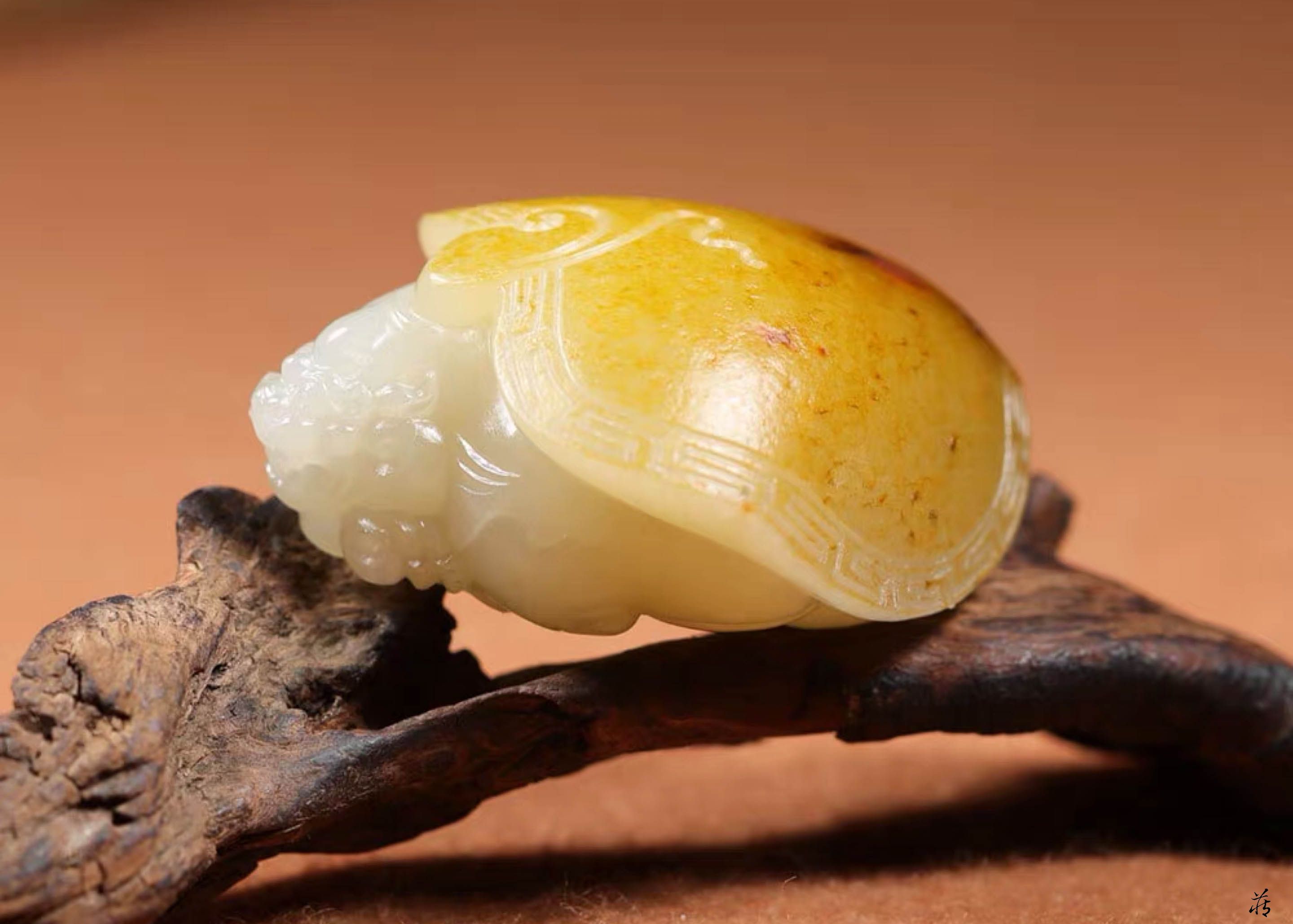 和田玉龙龟!镇宅招财,避小人,保平安!