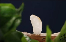 羊脂和田玉到底要多少钱？总算搞清楚了