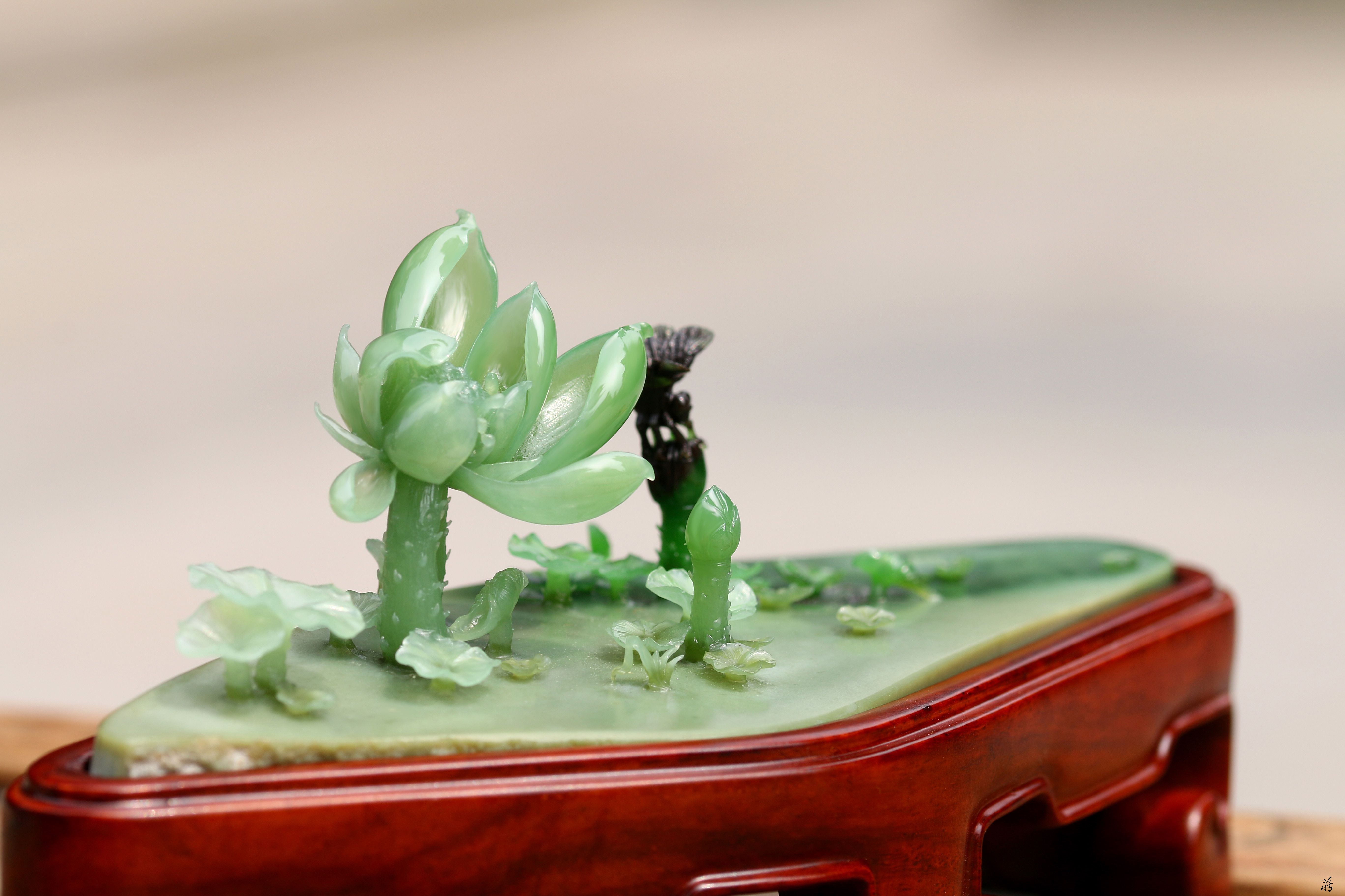 难怪和田玉荷花题材这么受欢迎原来有这么好的寓意