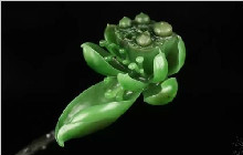 难怪和田玉荷花题材这么受欢迎！原来有这么好的寓意！