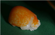 和田玉龙龟，辟邪挡煞，福寿绵延