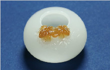 与水有关的和田玉文房用品，你知道几个？