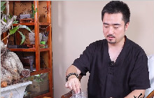如何用一杯水鉴别和田玉，值得一看 | 恋玉小课堂 