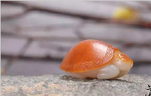 【臻品】和田玉灵龟：吉祥长寿，鸿运当头