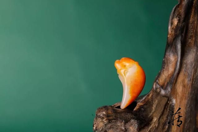 【臻品】和田玉虎爪,驱邪除祟,平安吉祥