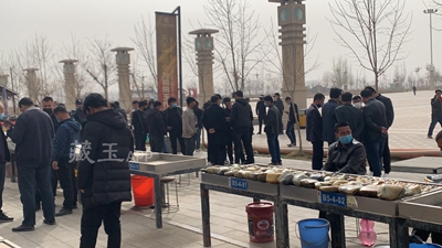 漫长等待，和田玉都城正式开工，籽料会反弹性上涨吗？