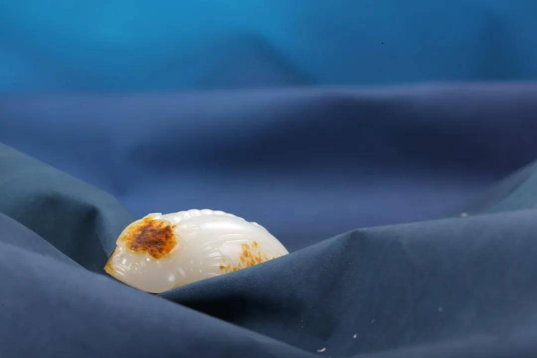高升昌盛——鱼化龙的传奇